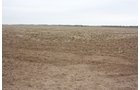 Property photo 9 - Kansas Land Auction - 960 Acres - 7 Farms in 3 Counties